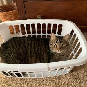 Meet your Posher, Lydia